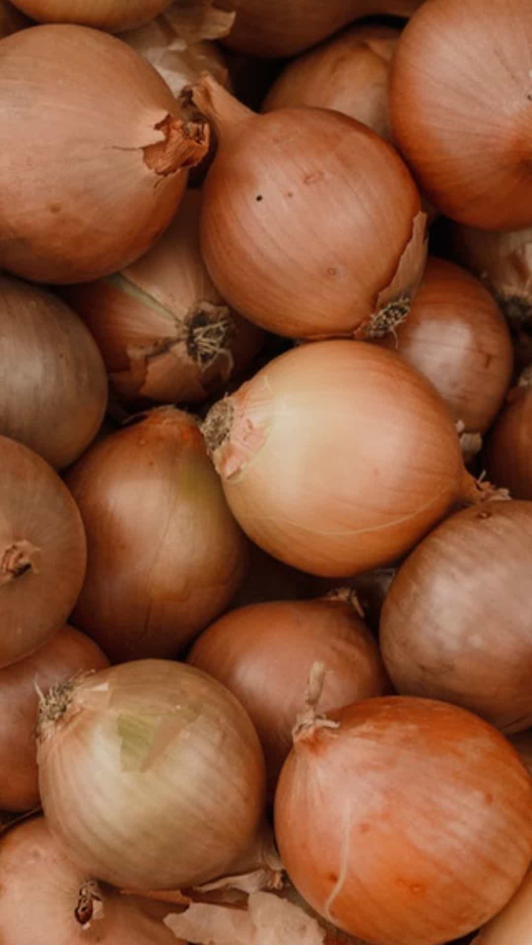 6 Types Of Onions That You Can Use For Different Dishes Is Known For