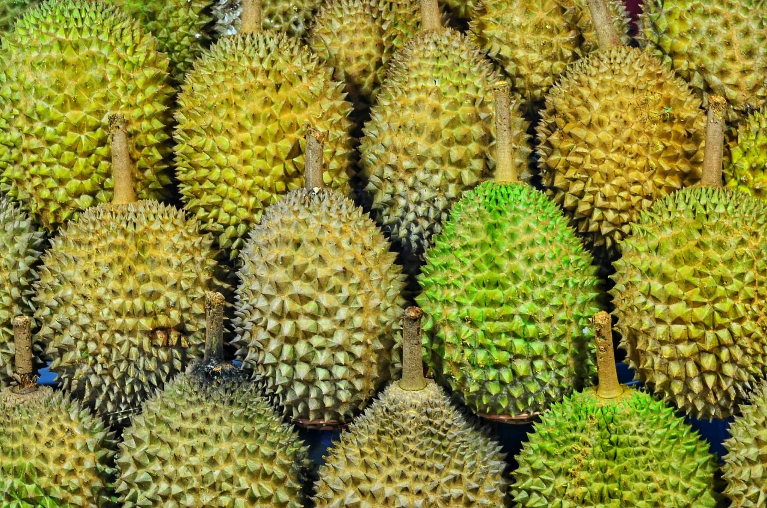What Is Durian? Here Are Its Benefits